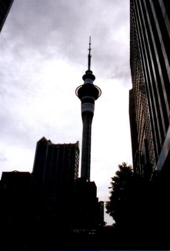 Sky Tower at Auckland